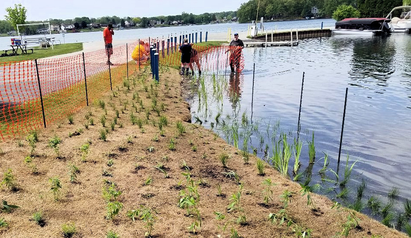 Native Planting for Lake LeAnn